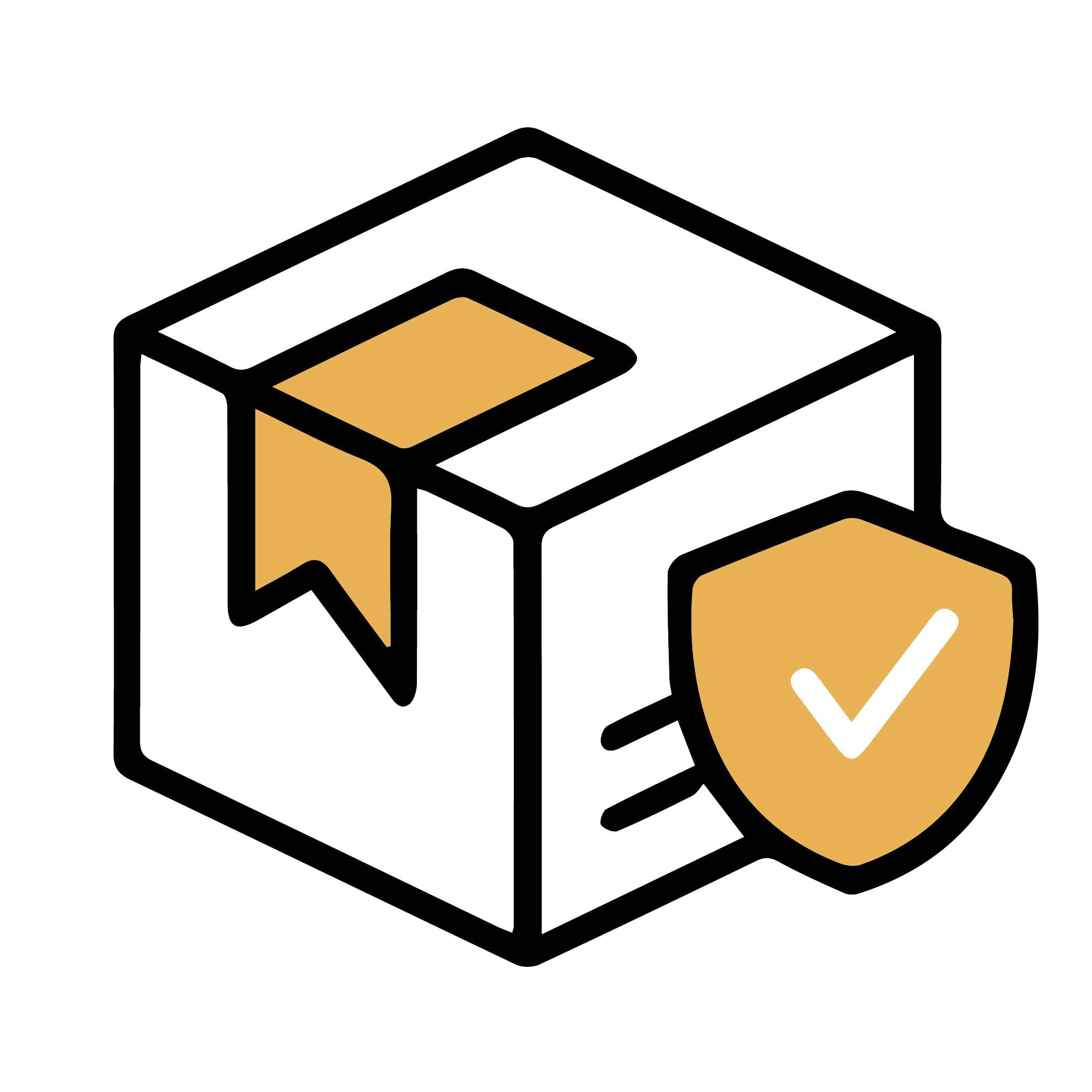 Express Shipping <br> Super safe and Secure